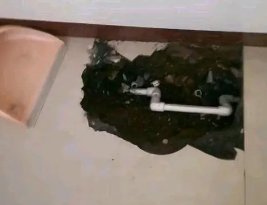 城北卫生间测漏水多少钱